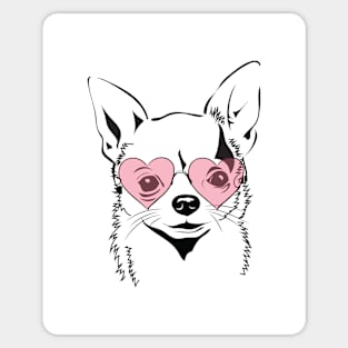 Chihuahua with heart glasses Sticker